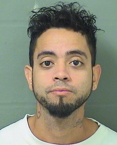  GABRIEL SERRANO Results from Palm Beach County Florida for  GABRIEL SERRANO