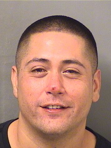  ROBERT TOLEDO Results from Palm Beach County Florida for  ROBERT TOLEDO