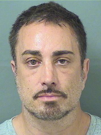  LOUIS STEVEN DELUCA Results from Palm Beach County Florida for  LOUIS STEVEN DELUCA