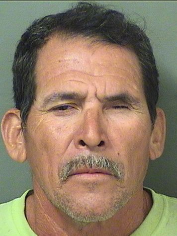  ROBERTO ALFARO Results from Palm Beach County Florida for  ROBERTO ALFARO