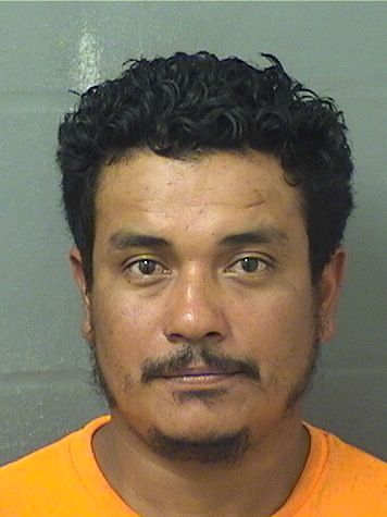  JAVIER GALLEGOS Photo For  JAVIER GALLEGOS