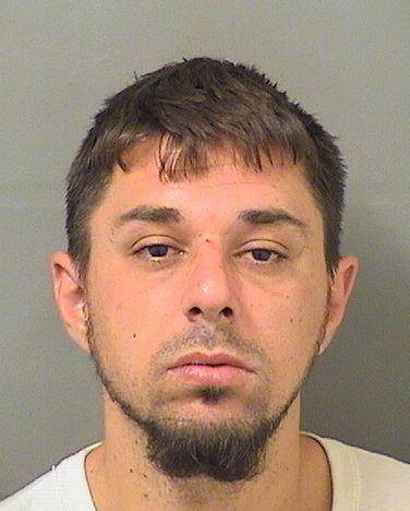  STEVEN DALE ABDELNOUR Results from Palm Beach County Florida for  STEVEN DALE ABDELNOUR