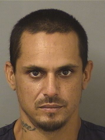  JULIO ANTHONY DIAZ Results from Palm Beach County Florida for  JULIO ANTHONY DIAZ