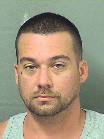  WILLIAM ROBERT MOUNT Results from Palm Beach County Florida for  WILLIAM ROBERT MOUNT