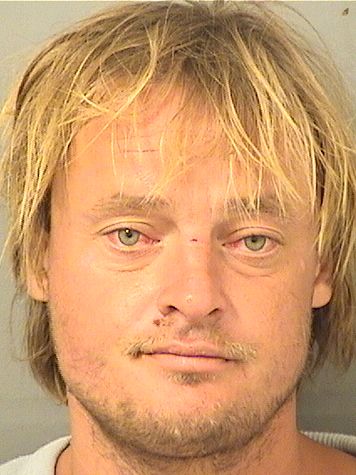  DAVID DERING Photo For  DAVID DERING