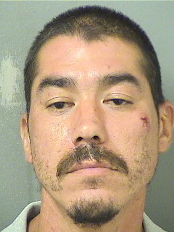 JOSE M COTTO Photos For  JOSE M COTTO  JOSE M COTTO Photo For  JOSE M COTTO