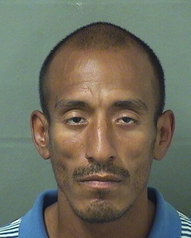  ARCE AREVALO Photo For  ARCE AREVALO