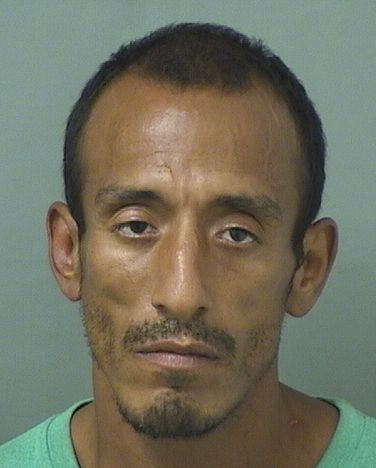  ARCE AREVALO Results from Palm Beach County Florida for  ARCE AREVALO