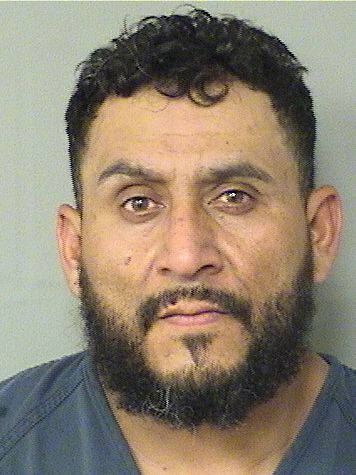  HECTOR JAVIER RAZOBERMUDEZ Results from Palm Beach County Florida for  HECTOR JAVIER RAZOBERMUDEZ