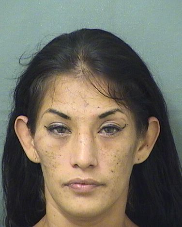  SYLVIA ARACELY GARCIA Results from Palm Beach County Florida for  SYLVIA ARACELY GARCIA