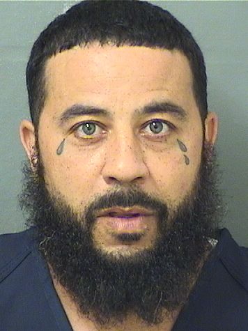  JOHN PATRICK BROWN Results from Palm Beach County Florida for  JOHN PATRICK BROWN