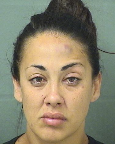  JACQUELINE MARIE CAMPA Results from Palm Beach County Florida for  JACQUELINE MARIE CAMPA