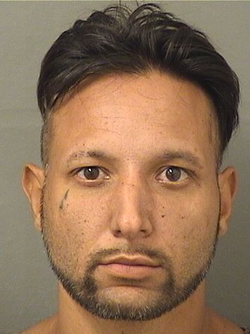  RODDY VIDAL MARTIN Resultados de la busqueda para Palm Beach County Florida para  RODDY VIDAL MARTIN