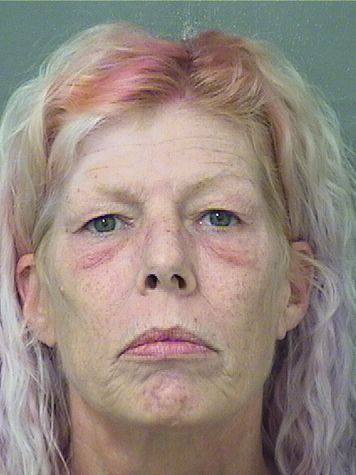  MELISSA LOUISEFRANCES HALL Results from Palm Beach County Florida for  MELISSA LOUISEFRANCES HALL