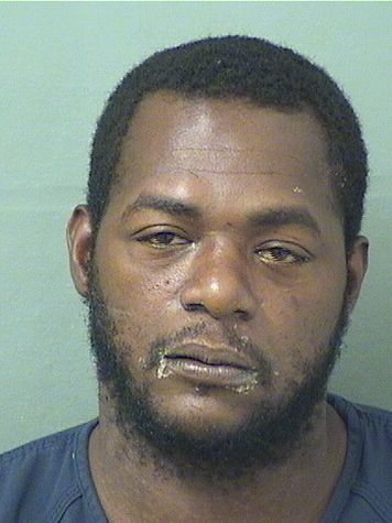  MICHAEL DONNEIL GRAHAM Results from Palm Beach County Florida for  MICHAEL DONNEIL GRAHAM