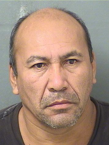  BERNARDO CRUZSALAZAR Results from Palm Beach County Florida for  BERNARDO CRUZSALAZAR