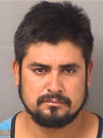  ELVER BERSAI MENDEZCARBAJAL Results from Palm Beach County Florida for  ELVER BERSAI MENDEZCARBAJAL