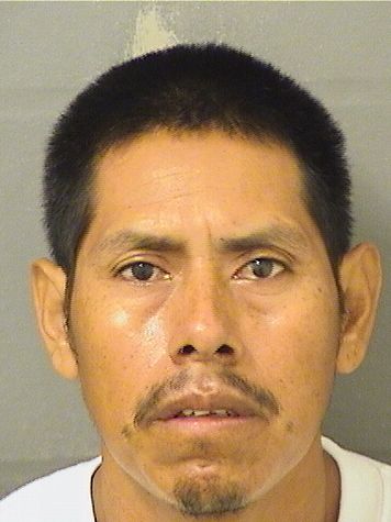  CHRISTIAN ADOLFO ALVARADOLUX Photo For  CHRISTIAN ADOLFO ALVARADOLUX