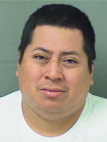  EVERIDO VELASQUEZ Results from Palm Beach County Florida for  EVERIDO VELASQUEZ