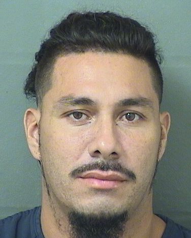  JOE DAVID SALINAS Results from Palm Beach County Florida for  JOE DAVID SALINAS