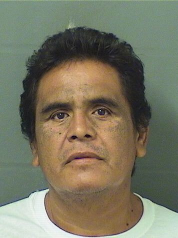  AARON MOLINA Results from Palm Beach County Florida for  AARON MOLINA