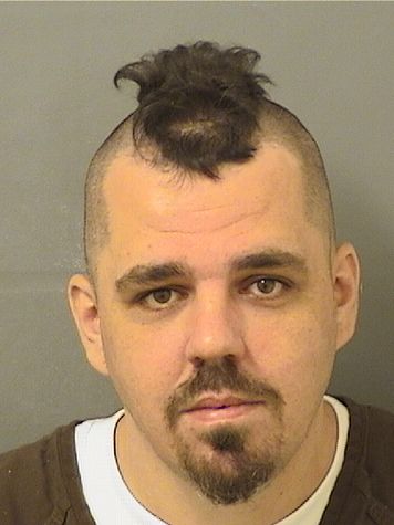  MICHAEL ANTHONY Jr PATTON Results from Palm Beach County Florida for  MICHAEL ANTHONY Jr PATTON