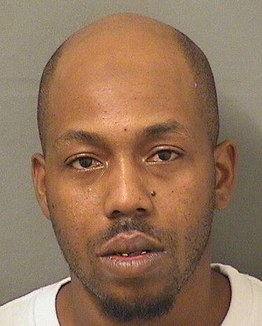  SHAWN KESNER LOUIS Photo For  SHAWN KESNER LOUIS