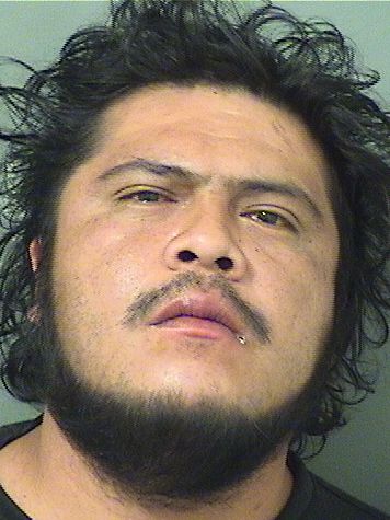  SYLVESTRE RIVERA Results from Palm Beach County Florida for  SYLVESTRE RIVERA