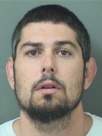  CHRISTOPHER ERNEST STEDMAN Results from Palm Beach County Florida for  CHRISTOPHER ERNEST STEDMAN