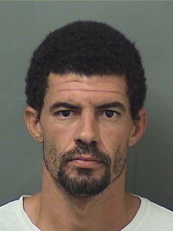  BRANDON M WASIELEWSKI Results from Palm Beach County Florida for  BRANDON M WASIELEWSKI