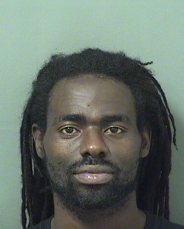  WILLIE JAMES MCCRAY Results from Palm Beach County Florida for  WILLIE JAMES MCCRAY