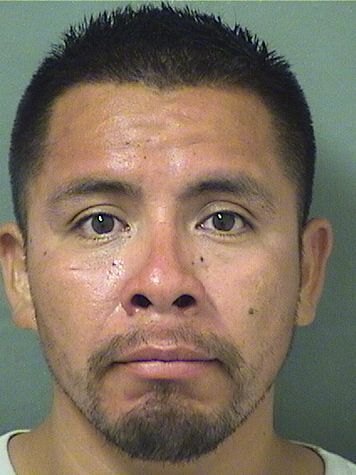 DAVID PEDRO Results from Palm Beach County Florida for DAVID PEDRO DAVID PEDRO Results from Palm Beach County Florida for DAVID PEDRO