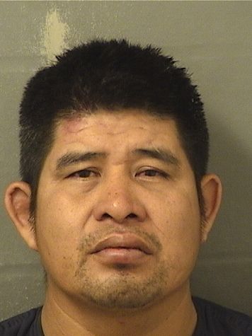  ANDRES BERNARDO DOMINGO Results from Palm Beach County Florida for  ANDRES BERNARDO DOMINGO