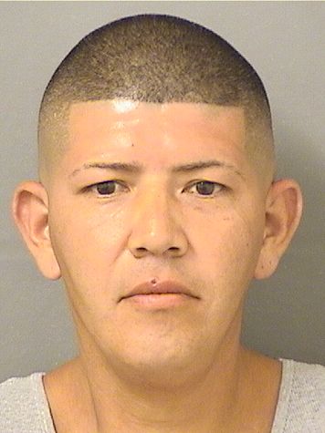 JUAN ROMANO CAUDILLO Photos For  JUAN ROMANO CAUDILLO  JUAN ROMANO CAUDILLO Photo For  JUAN ROMANO CAUDILLO