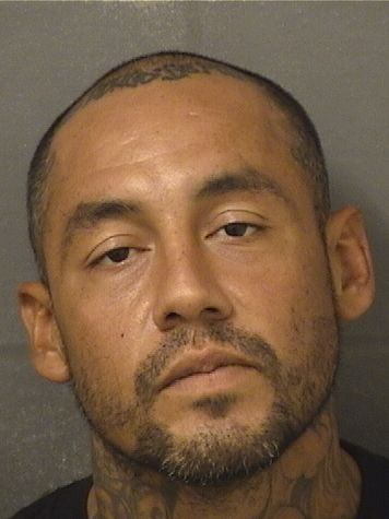  LUIS ALBERTO GONZALES Results from Palm Beach County Florida for  LUIS ALBERTO GONZALES