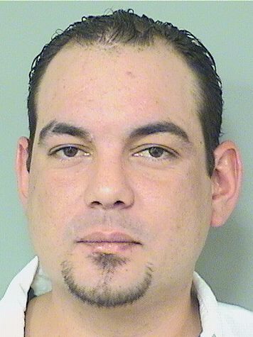  GERARDO A ALCEBO Resultados de la busqueda para Palm Beach County Florida para  GERARDO A ALCEBO