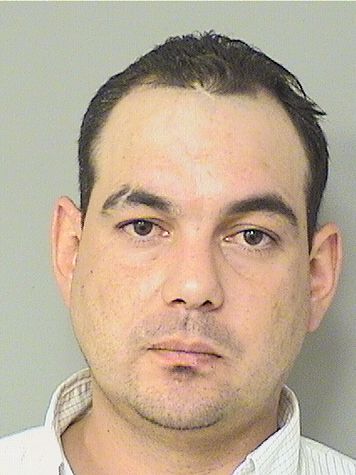  GERARDO A ALCEBO Results from Palm Beach County Florida for  GERARDO A ALCEBO