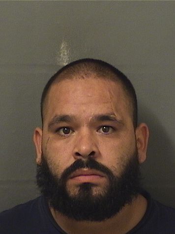 LUIS SIERRA Results from Palm Beach County Florida for LUIS SIERRA LUIS SIERRA Results from Palm Beach County Florida for LUIS SIERRA