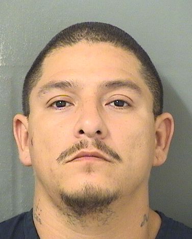  JOSE ALFREDO RODRIGUEZ Resultados de la busqueda para Palm Beach County Florida para  JOSE ALFREDO RODRIGUEZ