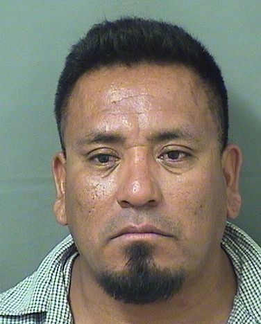 HONORIO REYNOSOTOMAS Results from Palm Beach County Florida for  HONORIO REYNOSOTOMAS  HONORIO REYNOSOTOMAS Results from Palm Beach County Florida for  HONORIO REYNOSOTOMAS