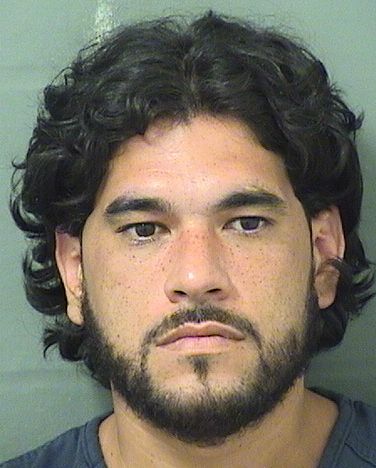  ALFREDO M APONTE Results from Palm Beach County Florida for  ALFREDO M APONTE