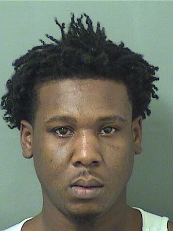  JAIME D BROWN Results from Palm Beach County Florida for  JAIME D BROWN