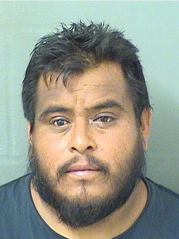  FERNANDO NINONINO Results from Palm Beach County Florida for  FERNANDO NINONINO