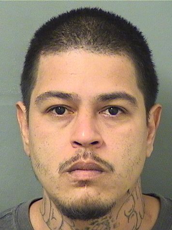  JOSE I REYES Resultados de la busqueda para Palm Beach County Florida para  JOSE I REYES