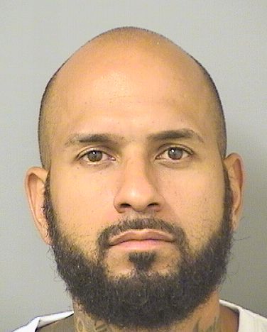  DAVID JULIO RIVERA Results from Palm Beach County Florida for  DAVID JULIO RIVERA