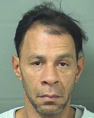  JOSE VALENTIN Results from Palm Beach County Florida for  JOSE VALENTIN