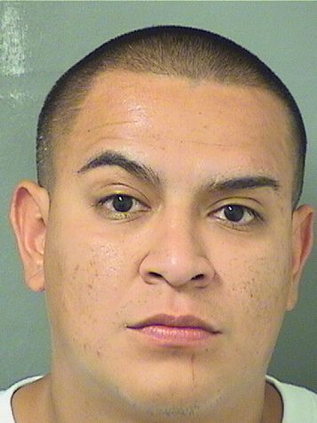  ELIUD MISAEL VENCES Results from Palm Beach County Florida for  ELIUD MISAEL VENCES