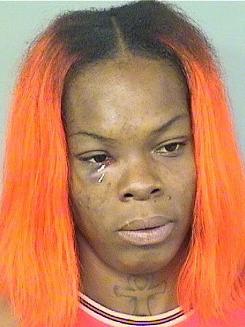  SARNE TRISKETA BARFIELD Results from Palm Beach County Florida for  SARNE TRISKETA BARFIELD