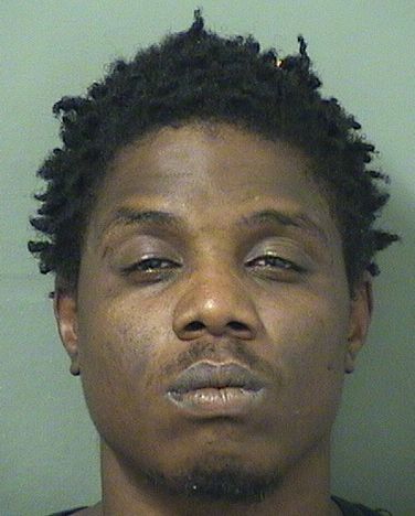  JOHNNY DEMETRIUS BROWN Results from Palm Beach County Florida for  JOHNNY DEMETRIUS BROWN