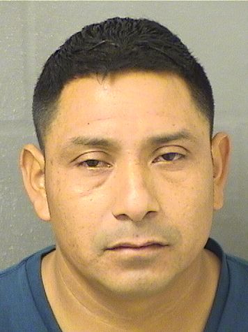  MIGUEL JOSE RAMIREZ Resultados de la busqueda para Palm Beach County Florida para  MIGUEL JOSE RAMIREZ